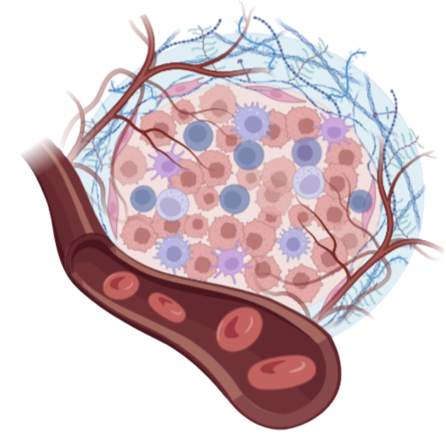 Chia Yi Su Lab Join Us To Fight Cancer