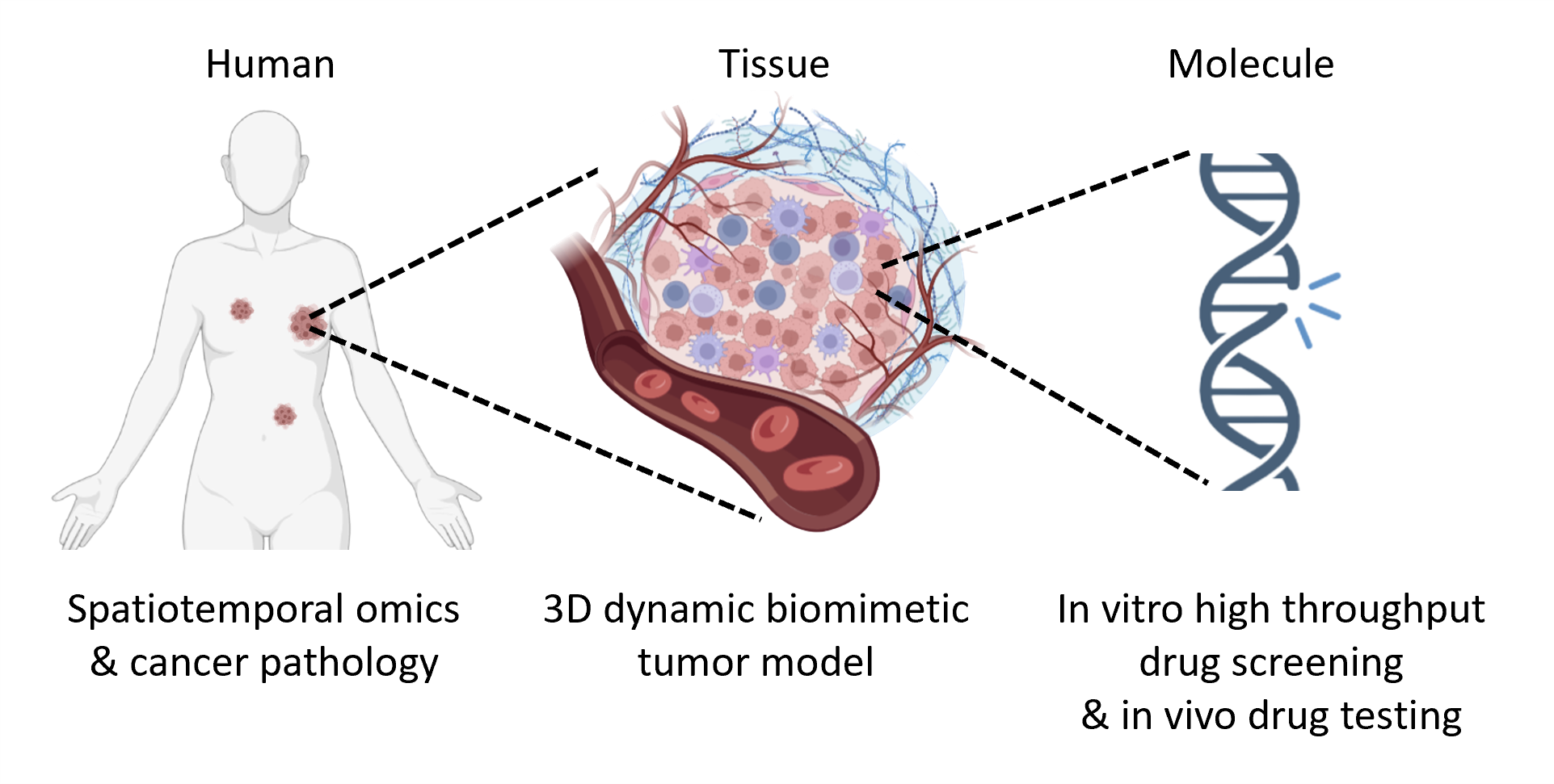 Chia Yi Su Lab Join Us To Fight Cancer