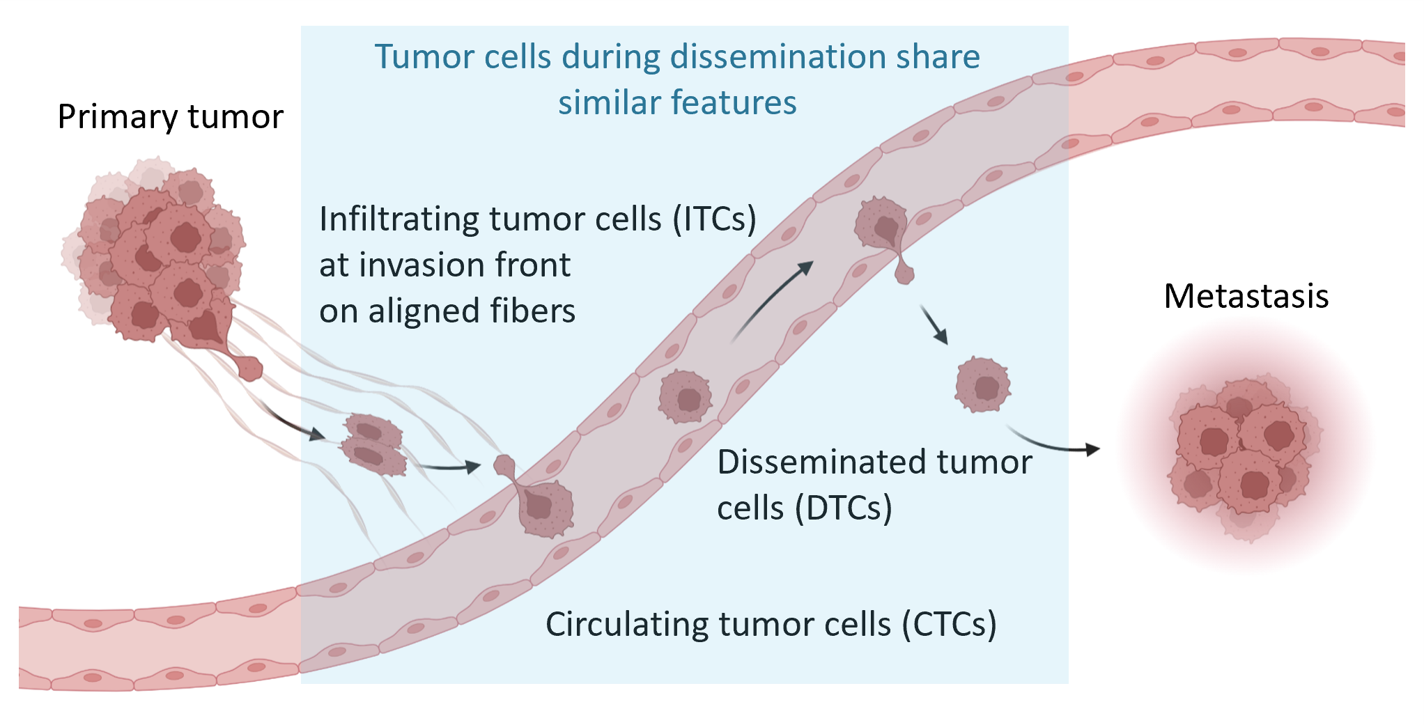 Research Chia Yi Su Lab