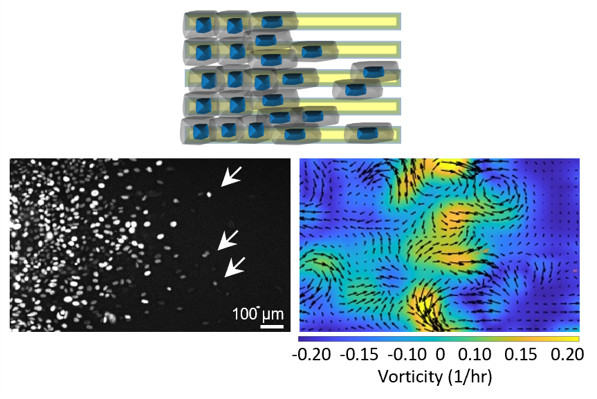 Research Chia Yi Su Lab